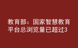 教育部：國家智慧教育平臺(tái)總瀏覽量已超過30.3億次