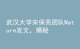 武漢大學(xué)宋保亮團(tuán)隊(duì)Nature發(fā)文，揭秘降脂新策略！