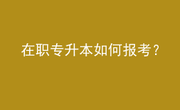在職專升本如何報(bào)考？ 