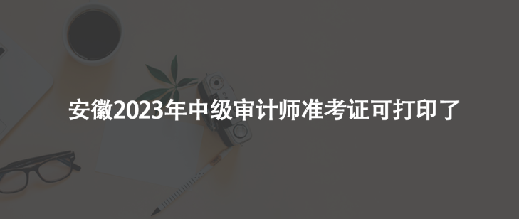 安徽2023年中級審計師準考證可打印了