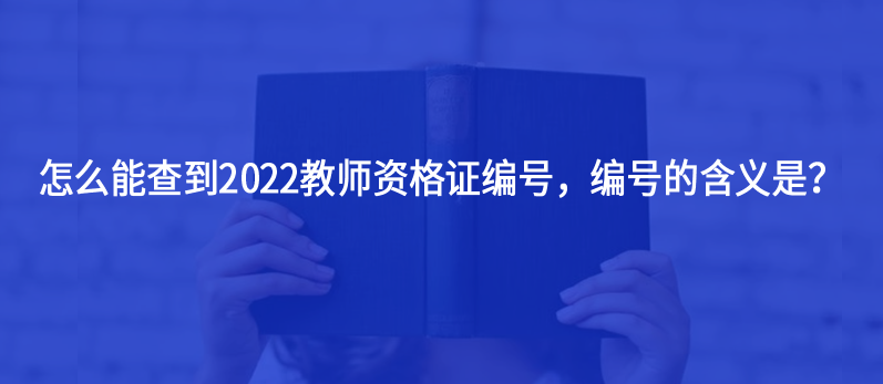 怎么能查到2022教師資格證編號，編號的含義是？