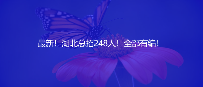最新！湖北總招248人！全部有編！
